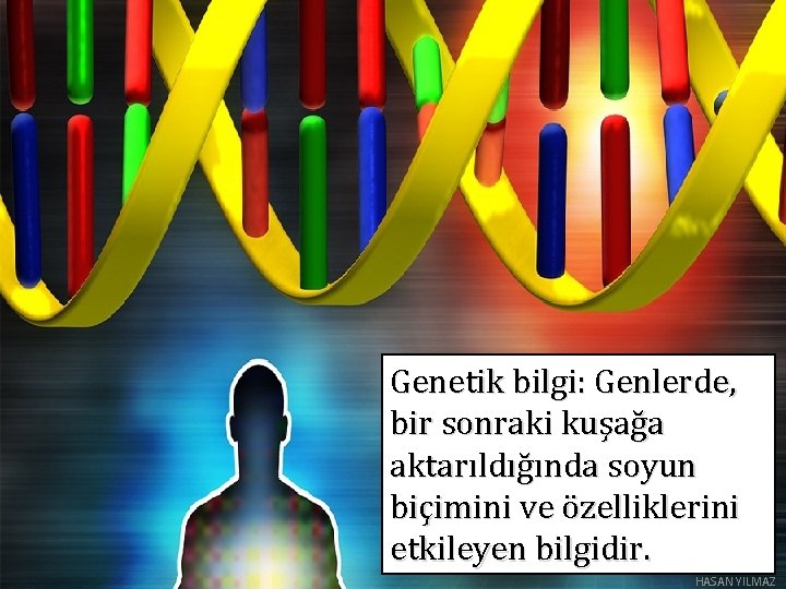 Genetik bilgi: Genlerde, bir sonraki kuşağa aktarıldığında soyun biçimini ve özelliklerini etkileyen bilgidir. HASAN