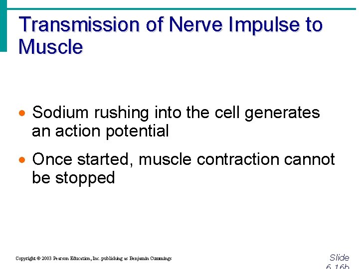 Transmission of Nerve Impulse to Muscle · Sodium rushing into the cell generates an