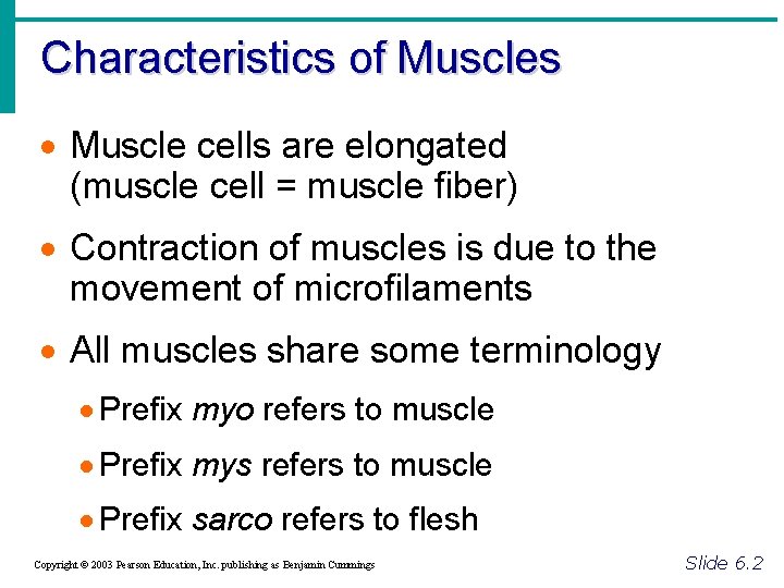 Characteristics of Muscles · Muscle cells are elongated (muscle cell = muscle fiber) ·