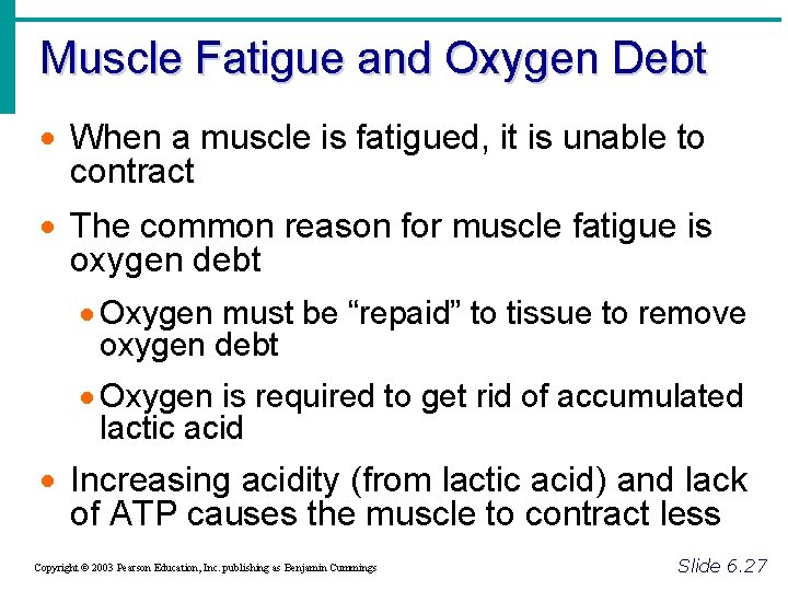 Muscle Fatigue and Oxygen Debt · When a muscle is fatigued, it is unable