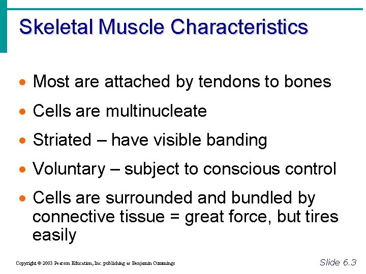 Skeletal Muscle Characteristics · Most are attached by tendons to bones · Cells are