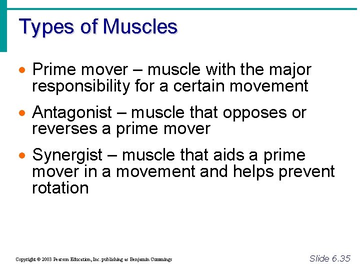 Types of Muscles · Prime mover – muscle with the major responsibility for a