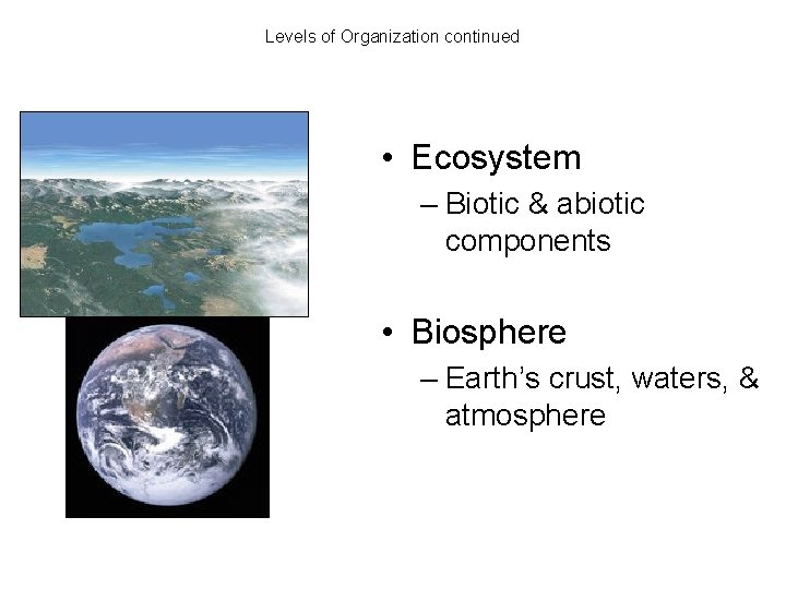 Levels of Organization continued • Ecosystem – Biotic & abiotic components • Biosphere –