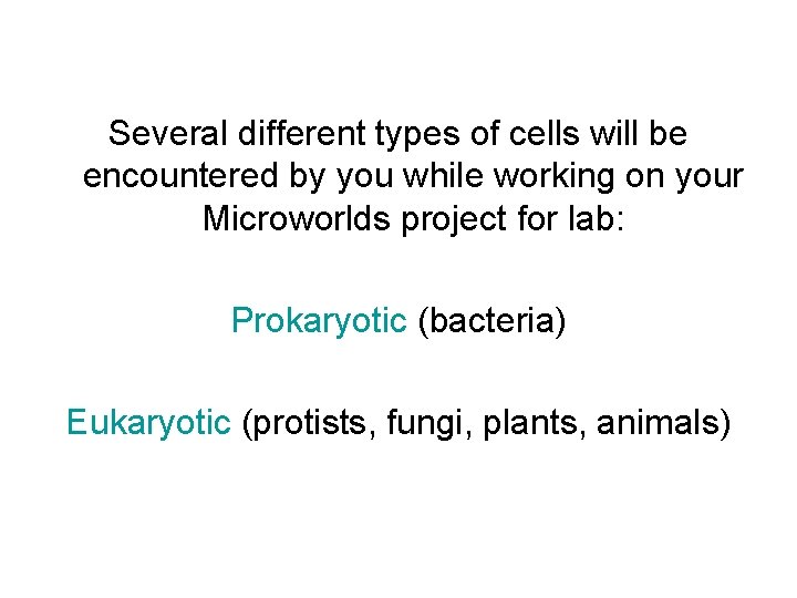 Several different types of cells will be encountered by you while working on your