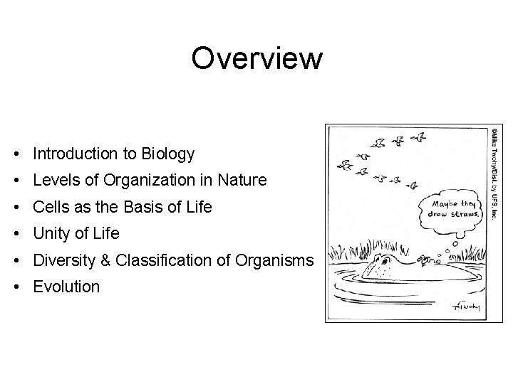 Overview • Introduction to Biology • Levels of Organization in Nature • Cells as