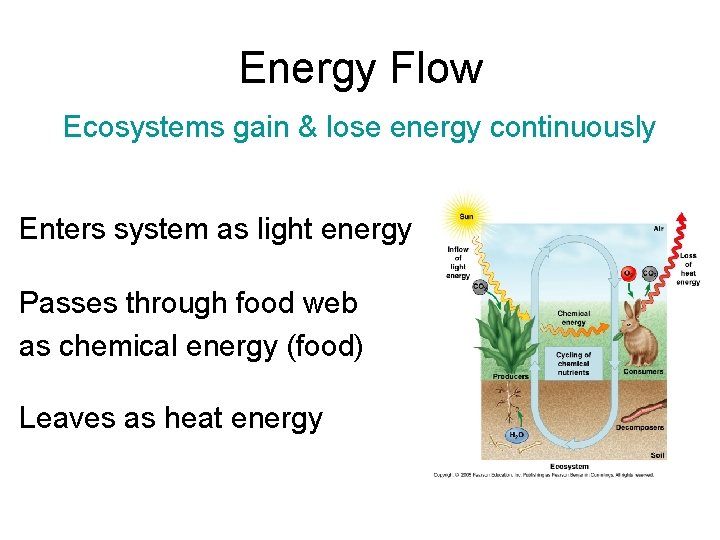 Energy Flow Ecosystems gain & lose energy continuously Enters system as light energy Passes