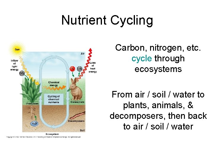 Nutrient Cycling Carbon, nitrogen, etc. cycle through ecosystems From air / soil / water