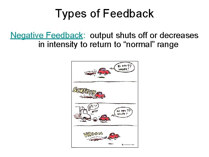 Types of Feedback Negative Feedback: output shuts off or decreases in intensity to return