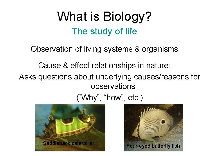 What is Biology? The study of life Observation of living systems & organisms Cause