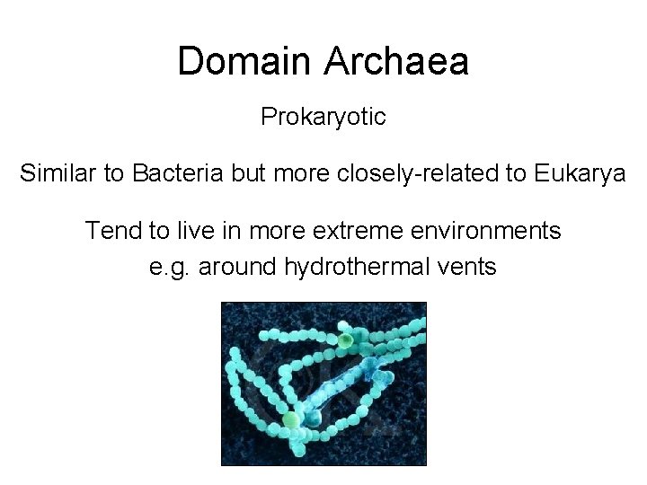 Domain Archaea Prokaryotic Similar to Bacteria but more closely-related to Eukarya Tend to live