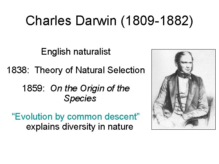 Charles Darwin (1809 -1882) English naturalist 1838: Theory of Natural Selection 1859: On the
