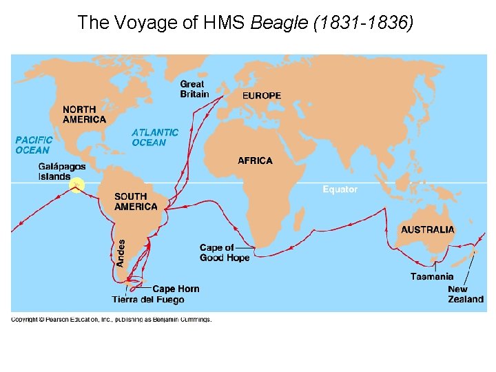 The Voyage of HMS Beagle (1831 -1836) 