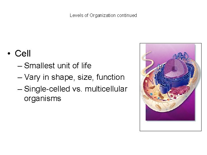 Levels of Organization continued • Cell – Smallest unit of life – Vary in