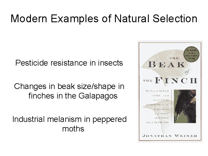Modern Examples of Natural Selection Pesticide resistance in insects Changes in beak size/shape in