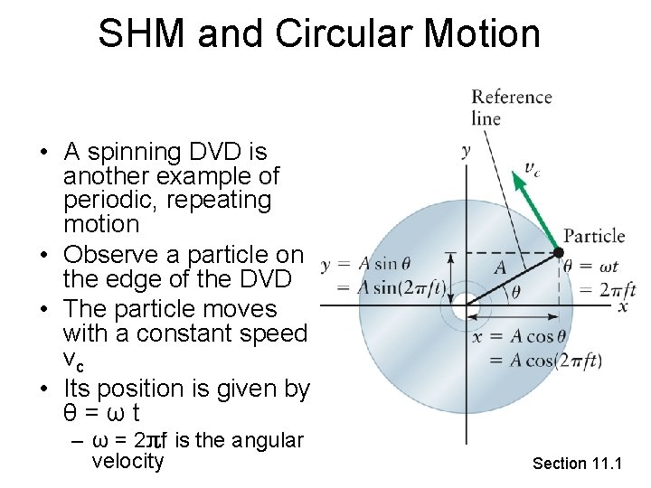 SHM and Circular Motion • A spinning DVD is another example of periodic, repeating