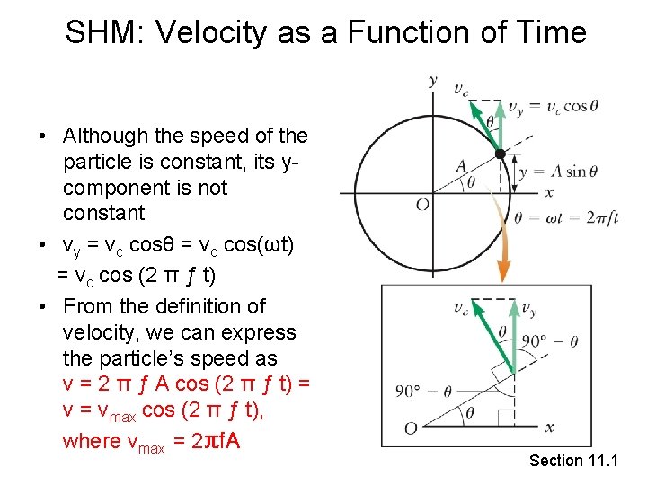 SHM: Velocity as a Function of Time • Although the speed of the particle