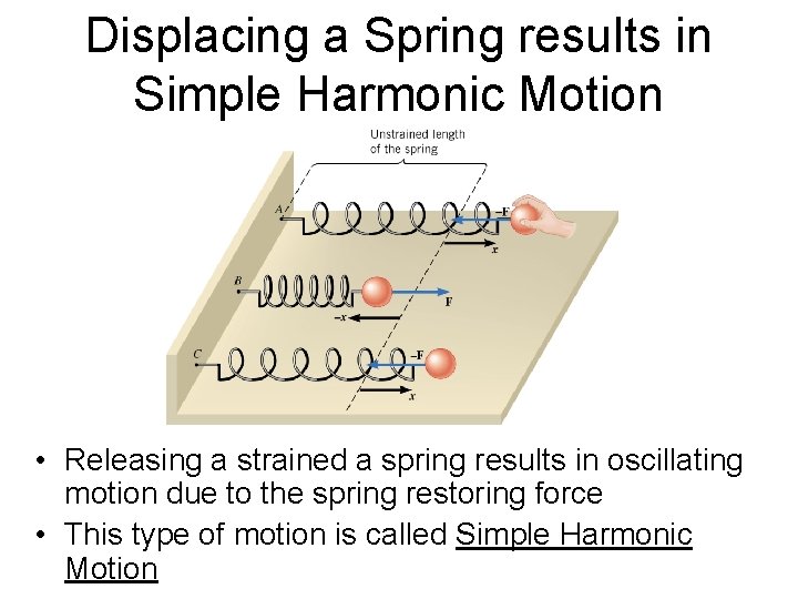 Displacing a Spring results in Simple Harmonic Motion • Releasing a strained a spring