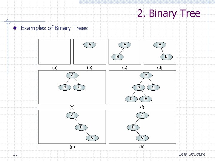 2. Binary Tree Examples of Binary Trees 13 Data Structure 