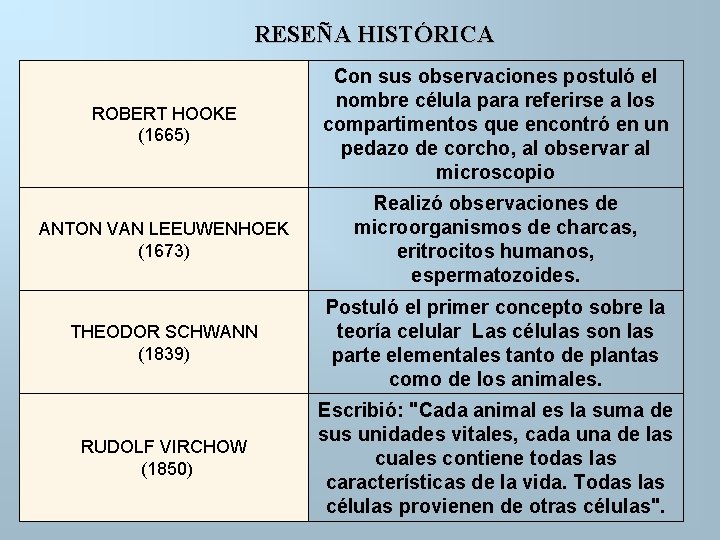 RESEÑA HISTÓRICA ROBERT HOOKE (1665) Con sus observaciones postuló el nombre célula para referirse