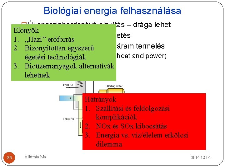 Biológiai energia felhasználása � Új energiahordozóvá alakítás – drága lehet Előnyök Közvetlen hőtermelés – Biológiai energia felhasználása � Új energiahordozóvá alakítás – drága lehet Előnyök Közvetlen hőtermelés –