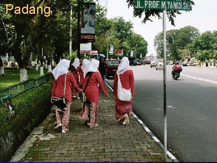 Padang 