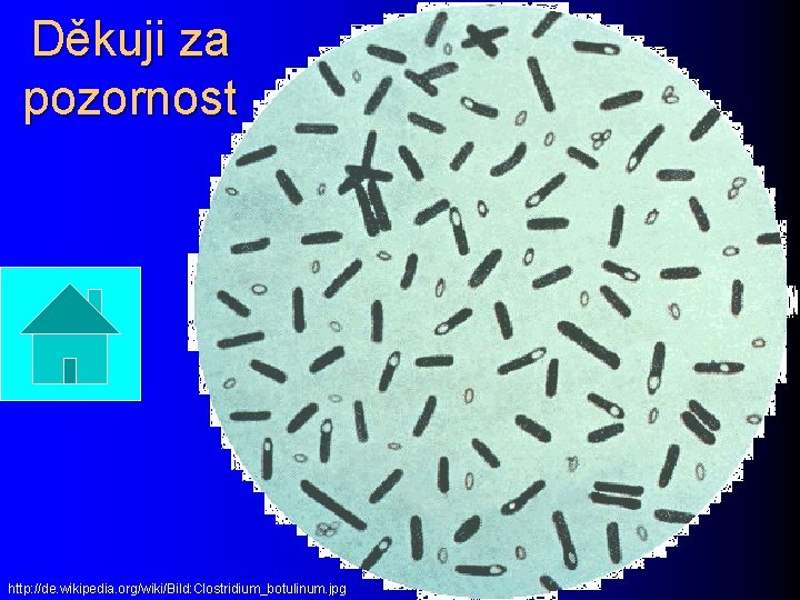 Děkuji za pozornost http: //de. wikipedia. org/wiki/Bild: Clostridium_botulinum. jpg 