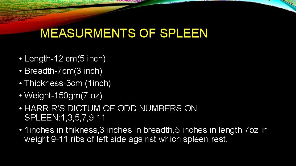 MEASURMENTS OF SPLEEN • Length-12 cm(5 inch) • Breadth-7 cm(3 inch) • Thickness-3 cm