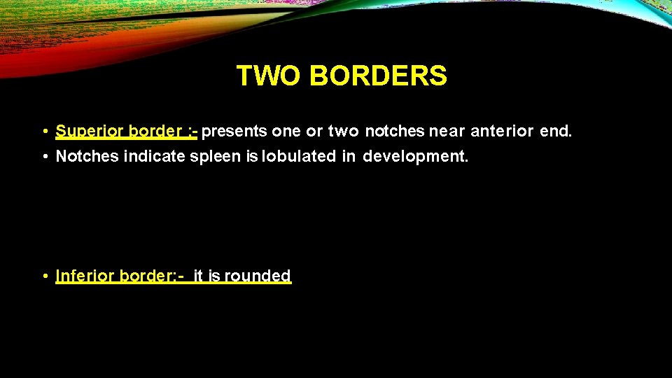 TWO BORDERS • Superior border : - presents one or two notches near anterior