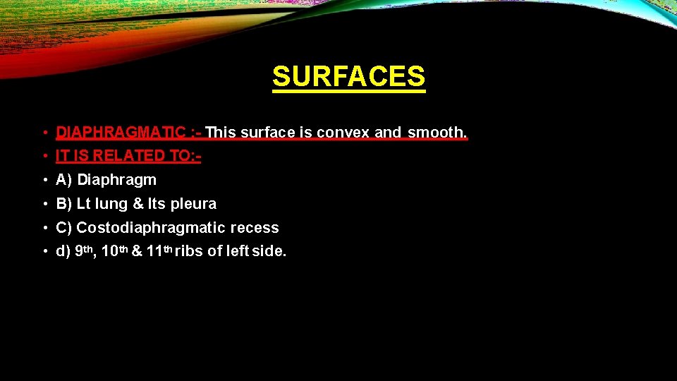 SURFACES • DIAPHRAGMATIC : - This surface is convex and smooth. • IT IS