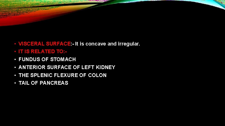  • VISCERAL SURFACE: - It is concave and irregular. • IT IS RELATED