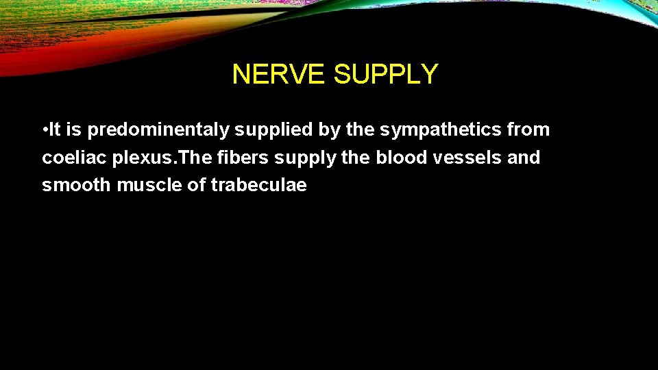 NERVE SUPPLY • It is predominentaly supplied by the sympathetics from coeliac plexus. The