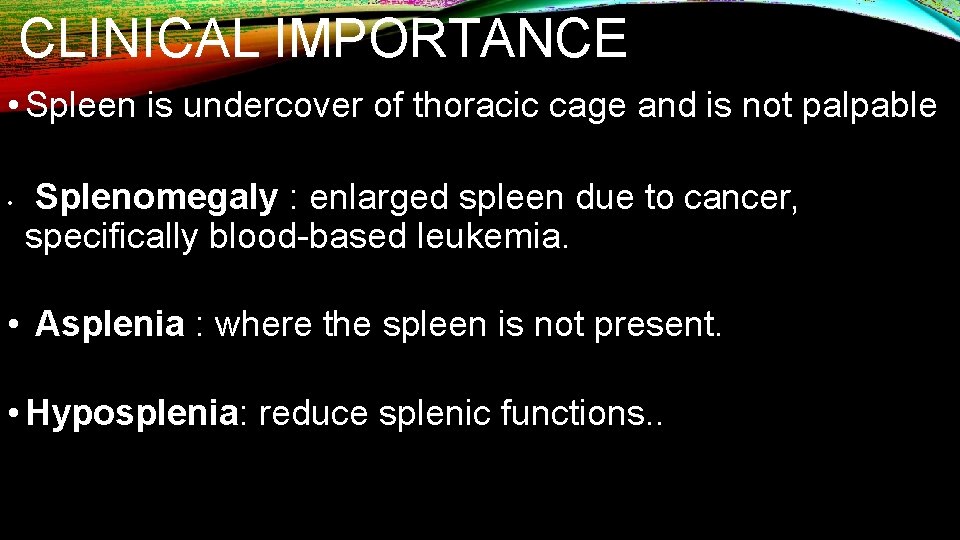 CLINICAL IMPORTANCE • Spleen is undercover of thoracic cage and is not palpable •