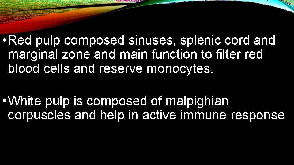  • Red pulp composed sinuses, splenic cord and marginal zone and main function
