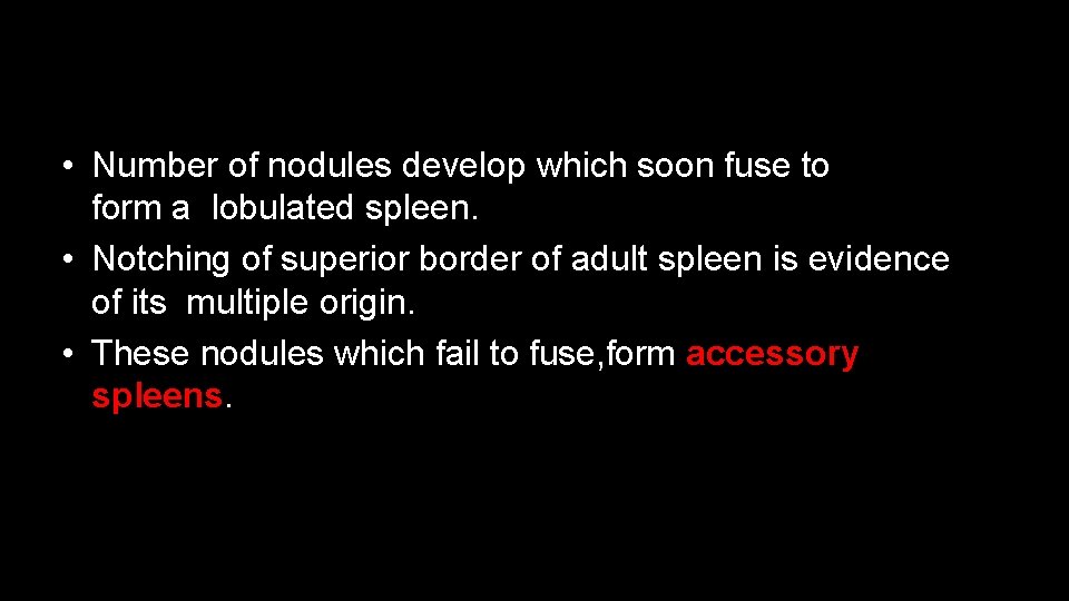  • Number of nodules develop which soon fuse to form a lobulated spleen.