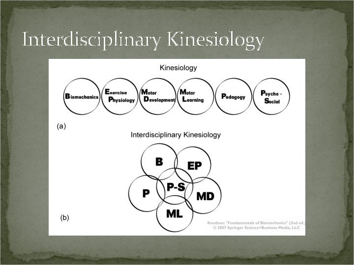 Interdisciplinary Kinesiology 