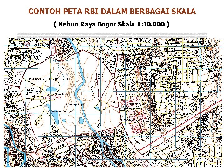 CONTOH PETA RBI DALAM BERBAGAI SKALA ( Kebun Raya Bogor Skala 1: 10. 000