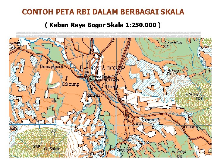 CONTOH PETA RBI DALAM BERBAGAI SKALA ( Kebun Raya Bogor Skala 1: 250. 000