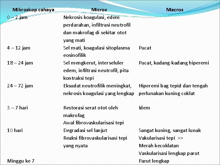 Mikroskop cahaya 0 – 2 jam 4 – 12 jam 18 – 24 jam