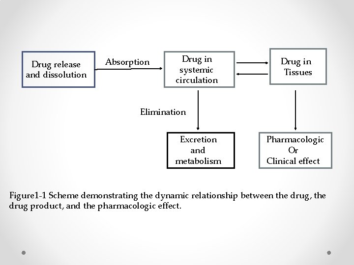 Drug release and dissolution Absorption Drug in systemic circulation Drug in Tissues Elimination Excretion
