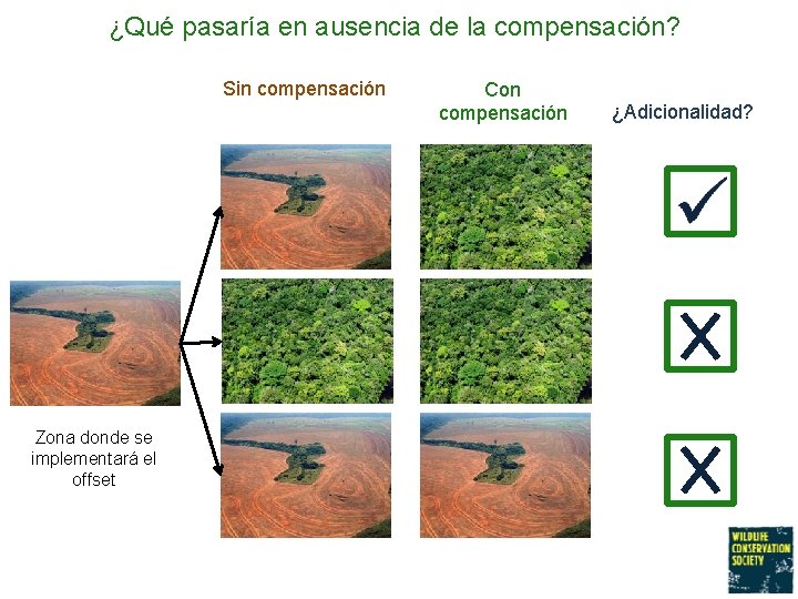 ¿Qué pasaría en ausencia de la compensación? Sin compensación Zona donde se implementará el