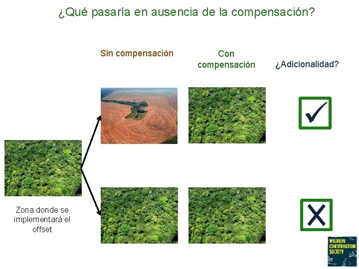 ¿Qué pasaría en ausencia de la compensación? Sin compensación Zona donde se implementará el