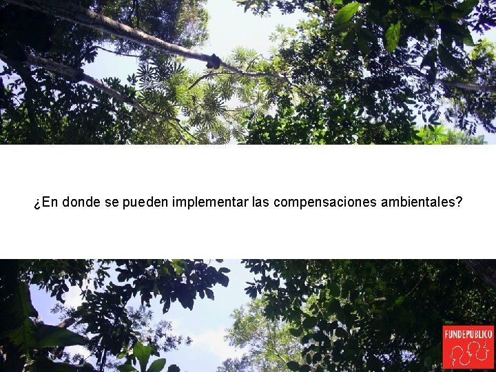 ¿En donde se pueden implementar las compensaciones ambientales? 