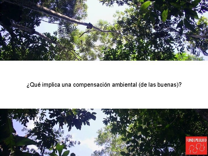 ¿Qué implica una compensación ambiental (de las buenas)? 