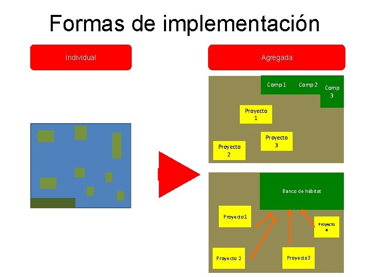 Formas de implementación Individual Agregada Comp 1 Comp 2 Comp 3 Proyecto 1 Proyecto