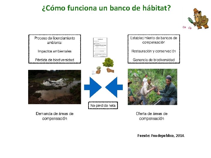 ¿Cómo funciona un banco de hábitat? Fuente: Fundepublico, 2014. 