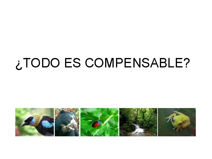 ¿TODO ES COMPENSABLE? 