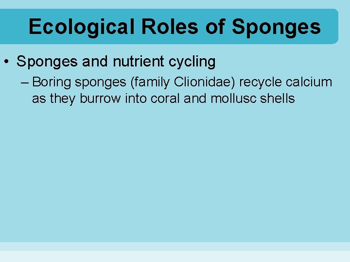 Ecological Roles of Sponges • Sponges and nutrient cycling – Boring sponges (family Clionidae)