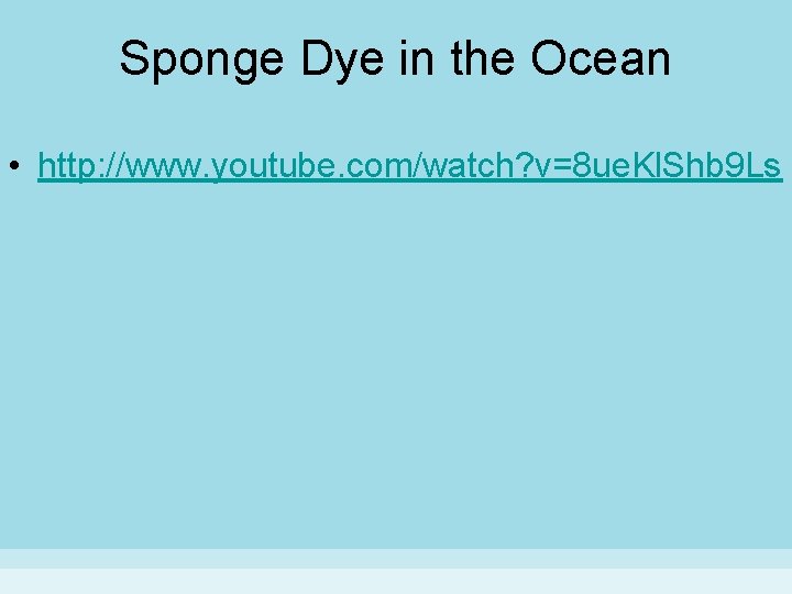 Sponge Dye in the Ocean • http: //www. youtube. com/watch? v=8 ue. Kl. Shb
