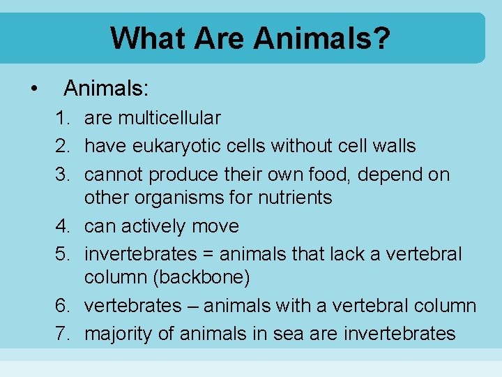 What Are Animals? • Animals: 1. are multicellular 2. have eukaryotic cells without cell