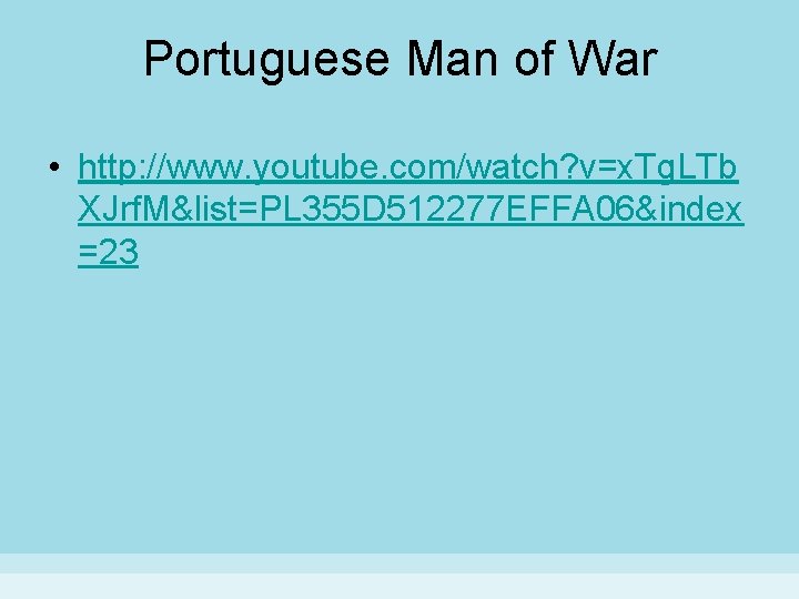 Portuguese Man of War • http: //www. youtube. com/watch? v=x. Tg. LTb XJrf. M&list=PL